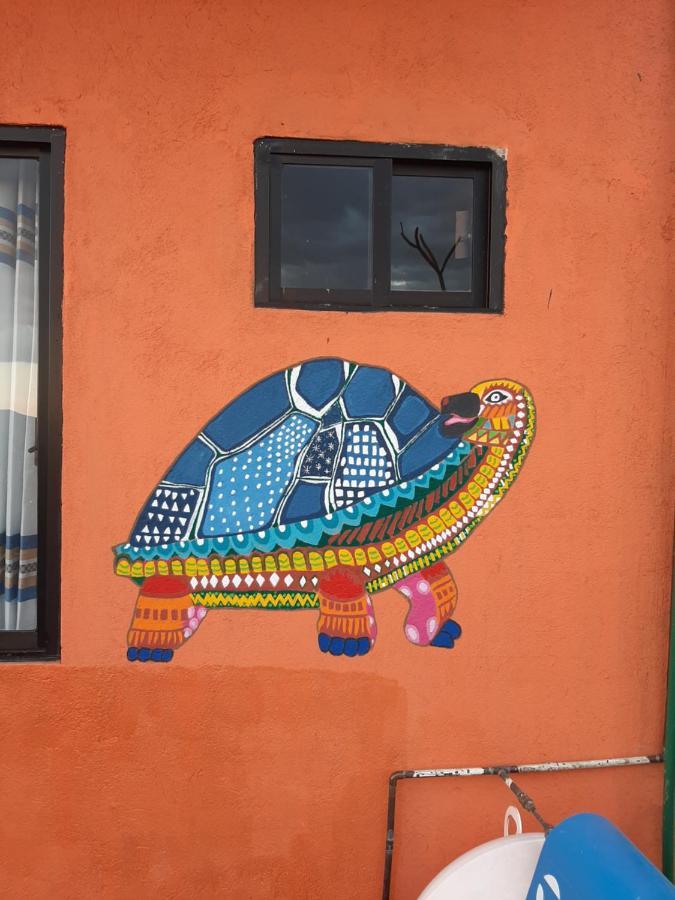 Casa Xochimilco Appartement Oaxaca Buitenkant foto